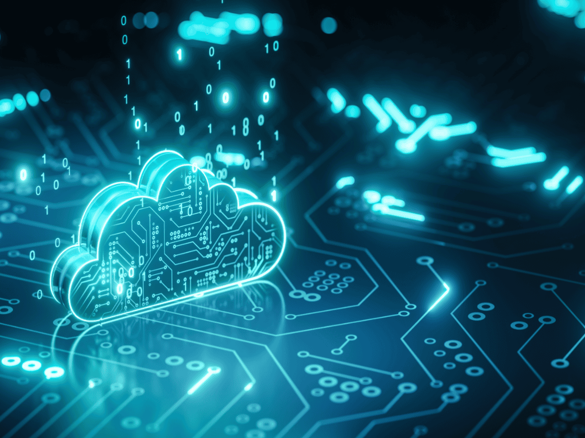 Tokenization total cost of ownership comparison between vault-based and vaultless architecture